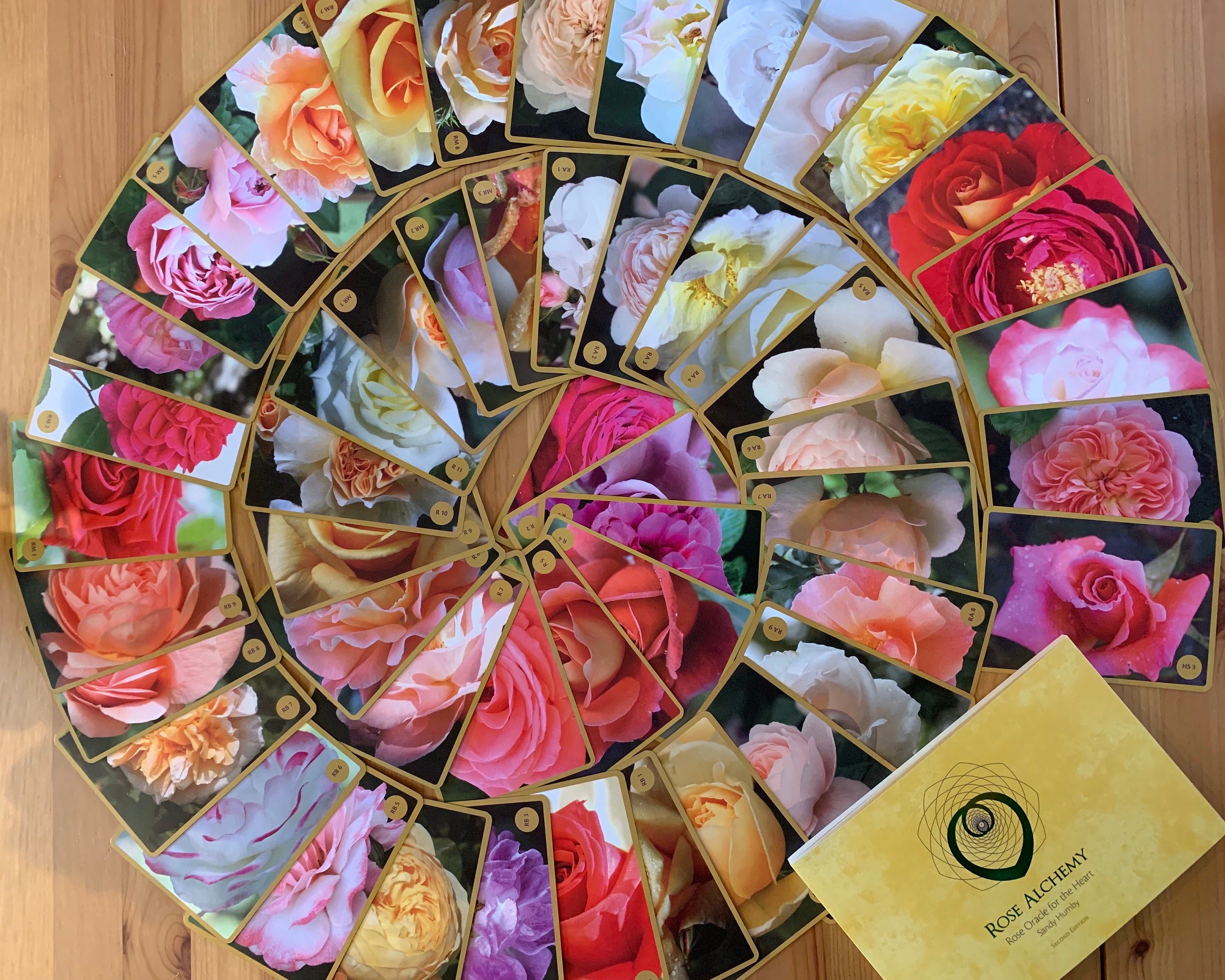 Rose Oracle Deck Set of 52 Gold Edged Cards and Guidebook Box of