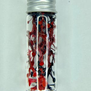 K&ouml;nnte beinhalten: Eine kleine Glasflasche mit silbernem Deckel, gef&uuml;llt mit roten und schwarzen Plastikteilen.