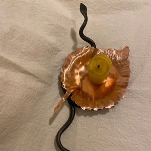 Snake w/ copper leaf