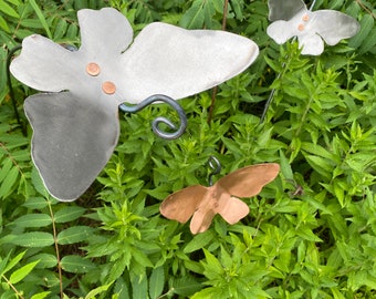 Garden Butterflies