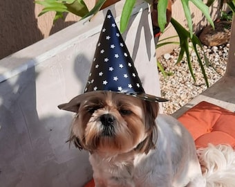 DIY Halloween Witch Hat Printable: Spooky Party Decor (PDF)