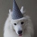 Pet Party Hat Printable PDF File | Dog Party Hat Printable Dog Hat ...