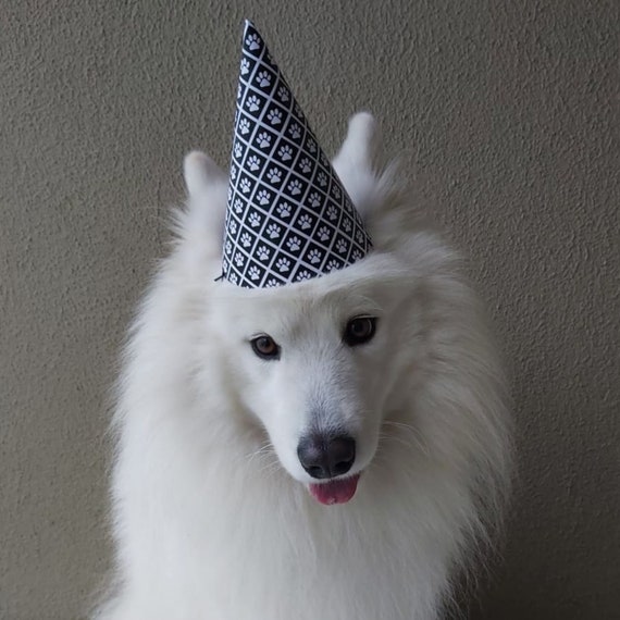 Pet Party Hat Printable PDF File Dog Party Hat Printable Dog Etsy