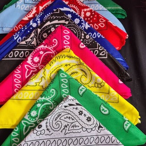 REDUCED TO CLEAR Large Paisley Bandana