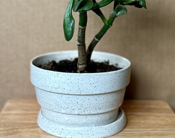 Level-Up Übertopf mit Untersetzer, handgefertigter Keramiktopf für Sukkulenten, kleine Pflanzen