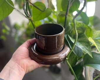 Juego de taza y platillo de cerámica marrón en forma de dona (8 oz)