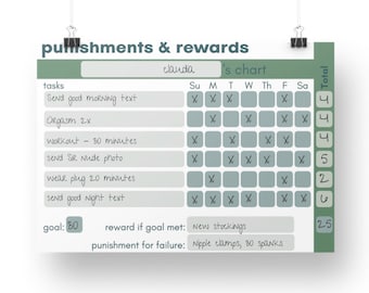 Punishment & Reward Chart (BDSM)