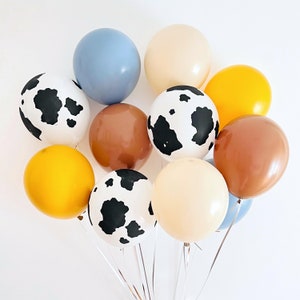 Barnyard Balloon Bouquet, Farm Themed Birthday, Wild West Party, First Rodeo Birthday Decorations, Cowboy Birthday Decor, Retro Farm Party