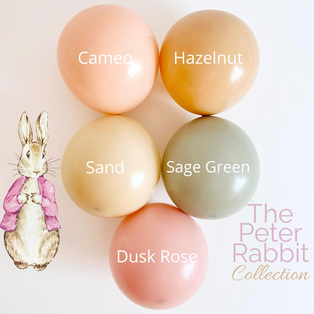 Peter Rabbit Balloon Garland: Bunny First Birthday Decorations for ...