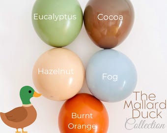 One Lucky Duck Balloon Garland: Mallard Duck 1st Birthday Decorations