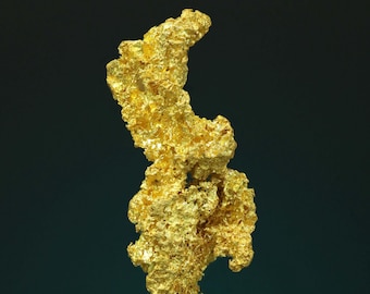 Crystal Gold Natural Gold Specimen - Colorado Quartz Mine, Mariposa, California U.S.A.
