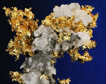 Kristallisiertes Gold Tuolumne County, Kalifornien USA