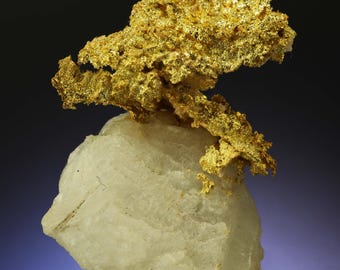 結晶化した金 天然結晶化した金の結晶標本 - カリフォルニア州