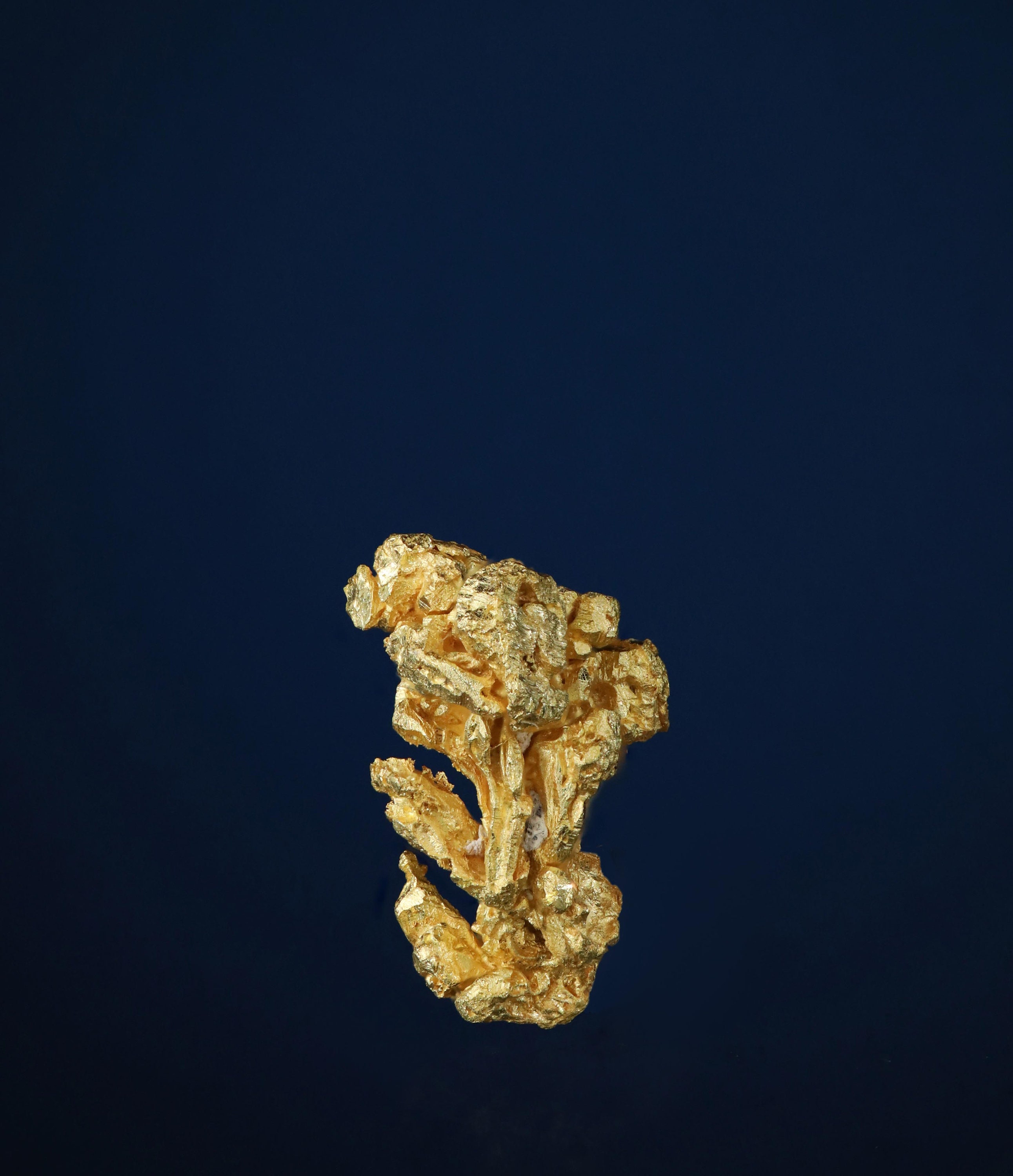 【レア！金の細長いワイヤー状結晶】 アメリカ ワシントン産 自然金 結晶 樹枝状ワイヤー金天然金結晶標本 - カリフォルニア州エルドラド郡