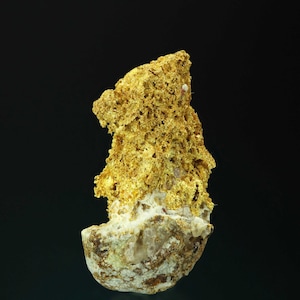 May include: A large, irregular nugget of gold with a rough, porous texture. The gold is attached to a smaller, white, quartz-like rock.