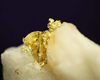 Oro cristallizzato su quarzo Campione di cristallo d'oro naturale - Badger Mine (Prescott Mine), Mariposa, California