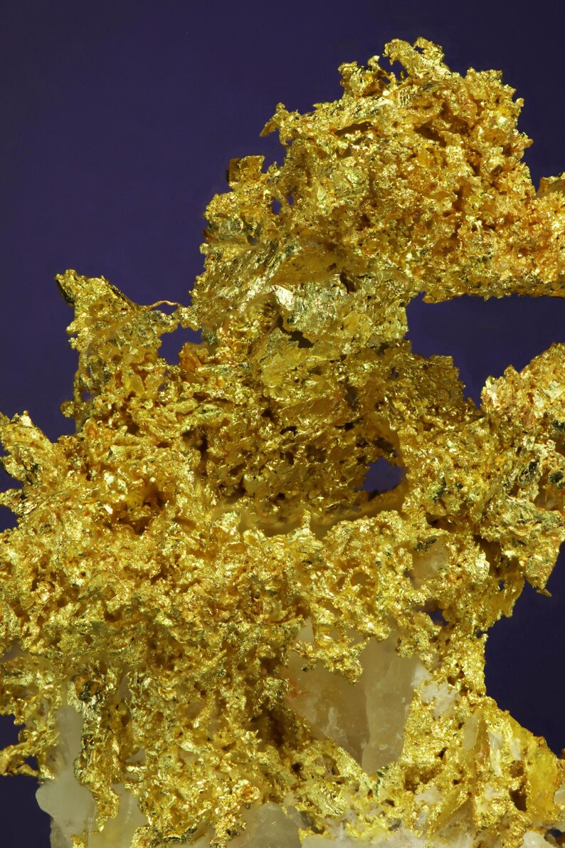 Wire Gold Cluster with White Quartz Belshazzar Mine, Quartzburg Mining District, Boise County, Idaho image 6