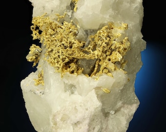 Native Gold on Quartz Gold Wire Crystals - Belshazzar Mine, Quartzburg Mining District, Boise County, Idaho, USA