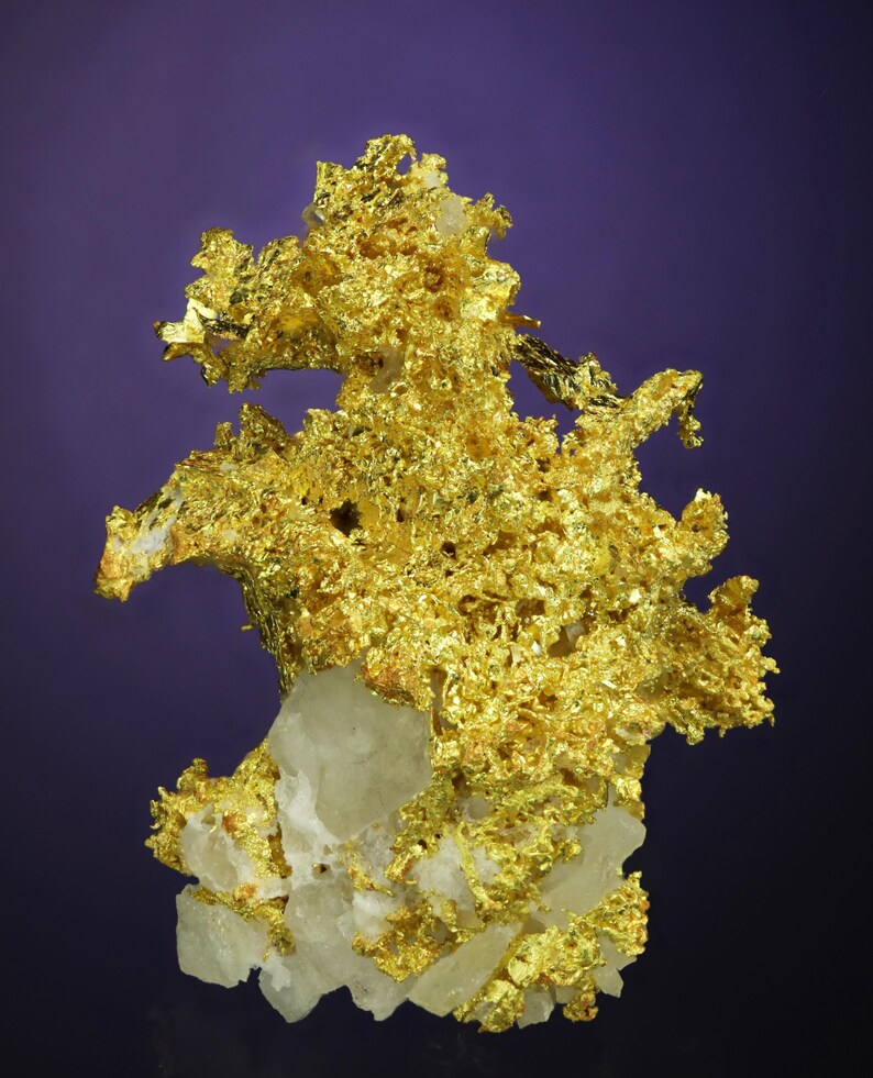 Wire Gold Cluster with White Quartz Belshazzar Mine, Quartzburg Mining District, Boise County, Idaho image 3