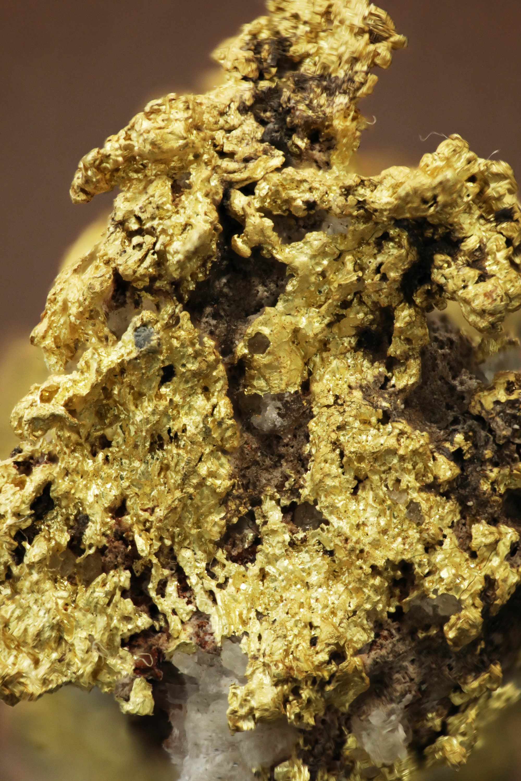 Crystallized Robust High Purity Native Gold on Dark Quartz Matrix