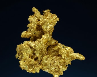 Native Gold - Belshazzar Mine, Quartzburg Mining, Boise County, Idaho