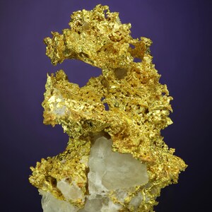 Wire Gold Cluster with White Quartz Belshazzar Mine, Quartzburg Mining District, Boise County, Idaho image 4
