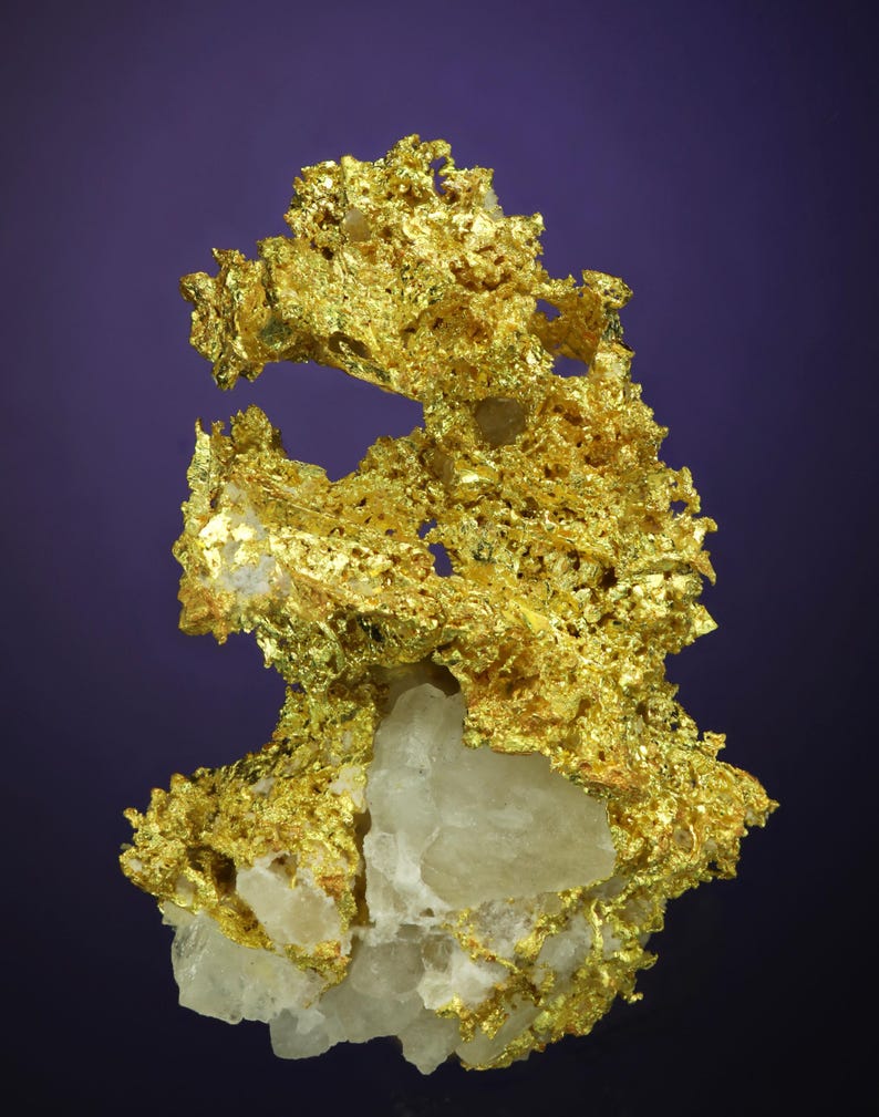 Wire Gold Cluster with White Quartz Belshazzar Mine, Quartzburg Mining District, Boise County, Idaho image 4