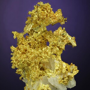Wire Gold Cluster with White Quartz Belshazzar Mine, Quartzburg Mining District, Boise County, Idaho image 2
