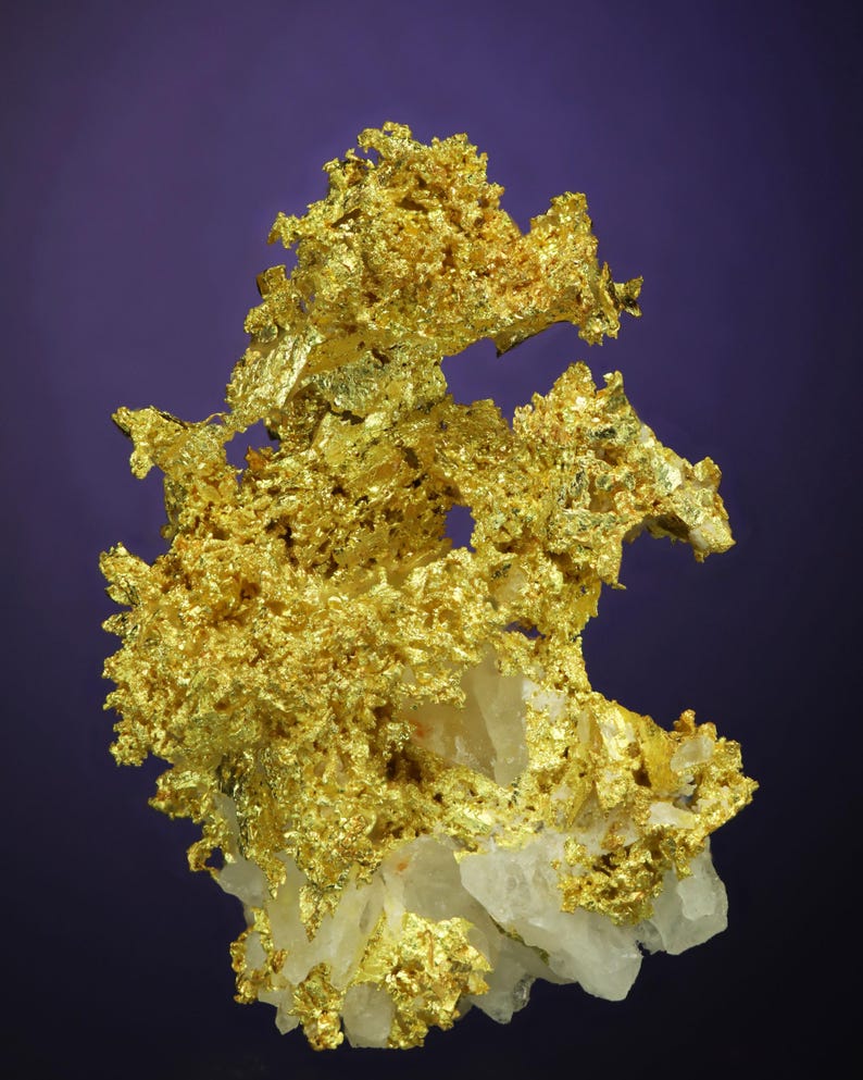 Wire Gold Cluster with White Quartz Belshazzar Mine, Quartzburg Mining District, Boise County, Idaho image 2