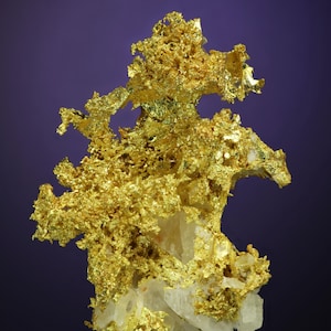 Wire Gold Cluster with White Quartz Belshazzar Mine, Quartzburg Mining District, Boise County, Idaho image 1