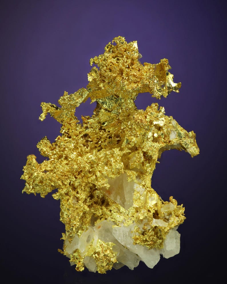 Wire Gold Cluster with White Quartz Belshazzar Mine, Quartzburg Mining District, Boise County, Idaho image 1
