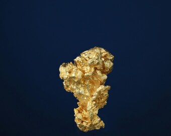 樹枝状ワイヤー金天然金結晶標本 - カリフォルニア州エルドラド郡