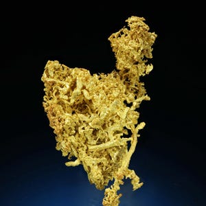 Wire Gold Cluster - Belshazzar Mine, Quartzburg Mining District, Boise County, Idaho