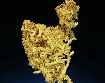 Wire Gold Cluster - Belshazzar Mine, Quartzburg Mining District, Boise County, Idaho