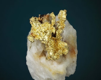 Crystallized Gold on Quartz Matrix Robust Natural Gold Specimen