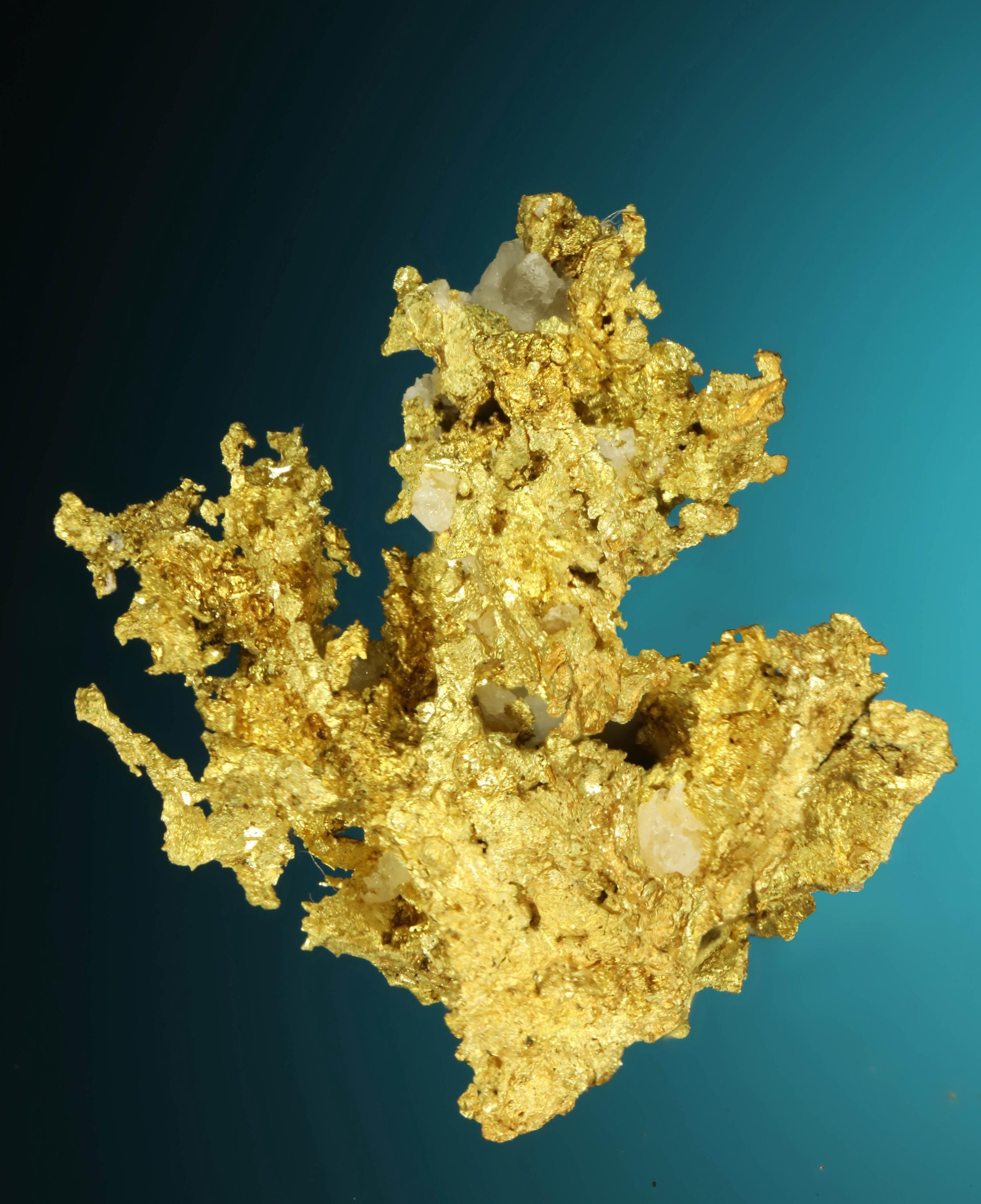 Colorado 自然金 Gold Nuggets 0.5g Brilliant and Sharp - Natural