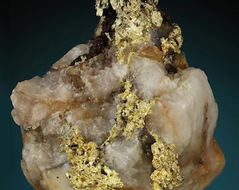 May include: A close-up of a rock with gold nuggets embedded in it. The rock is white with some brown and black markings. The gold nuggets are a bright yellow color.