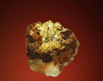 May include: A close-up of a gold nugget specimen on a matrix of brown and white rock. The gold is a bright yellow color and has a crystalline structure.
