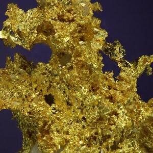 Wire Gold Cluster with White Quartz Belshazzar Mine, Quartzburg Mining District, Boise County, Idaho image 5
