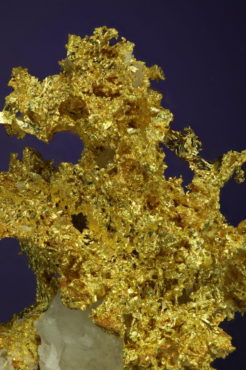 Wire Gold Cluster with White Quartz Belshazzar Mine, Quartzburg Mining District, Boise County, Idaho image 5