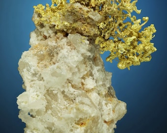 Cluster di filo d'oro su campione di oro naturale al quarzo - Miniera di Belshazzar, Quartzburg, Contea di Boise, Idaho
