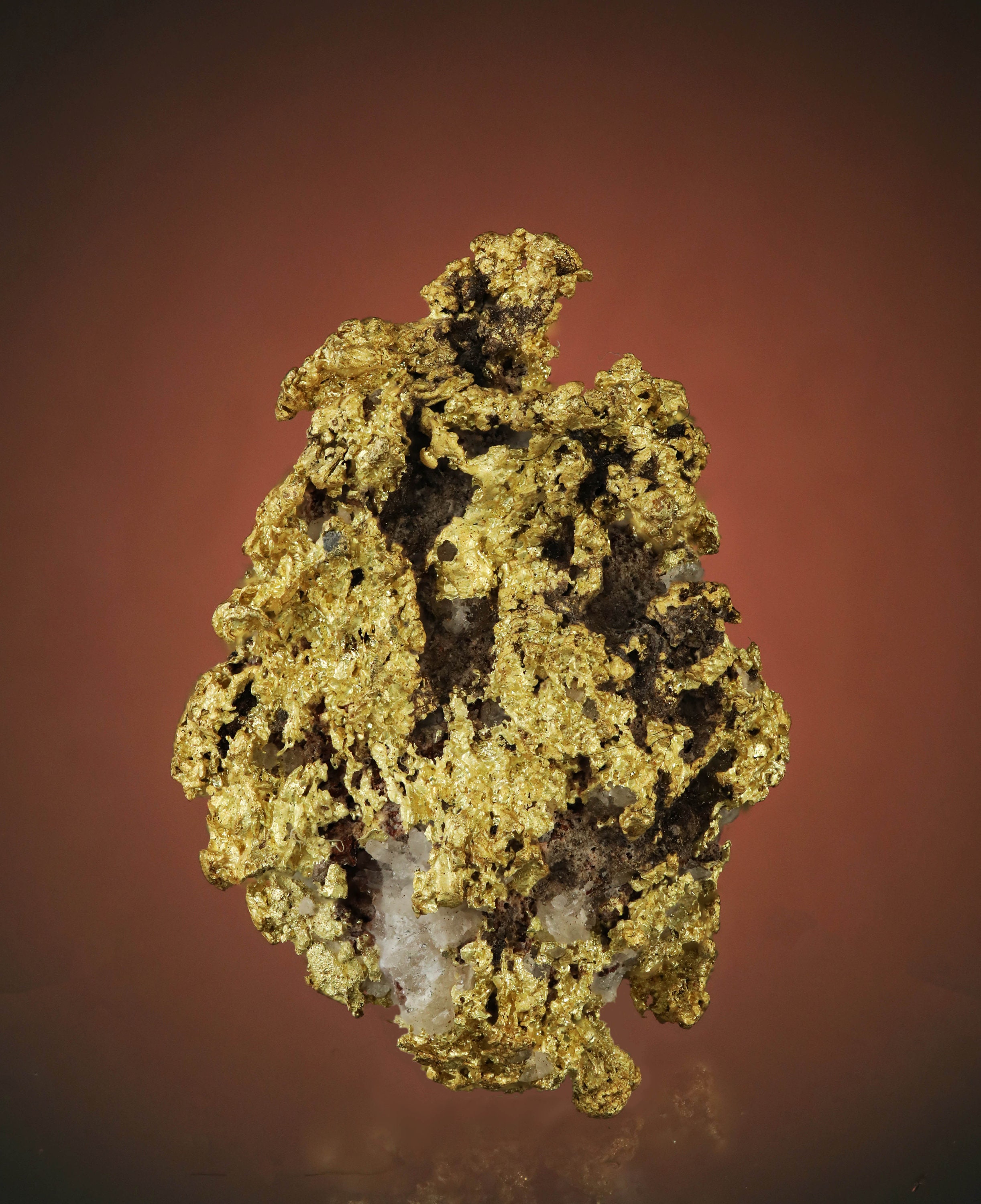 Crystallized Robust High Purity Native Gold on Dark Quartz Matrix