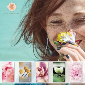 Through the Flower - Oracle Cards