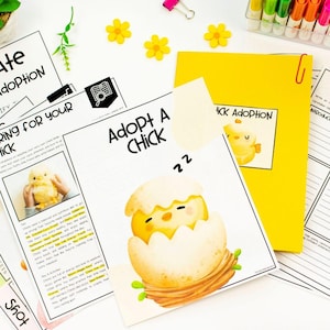 Adopt a Chick Project Based Learning, Printable Spring and Easter Activity, Bulletin Board Kit, Homeschooling