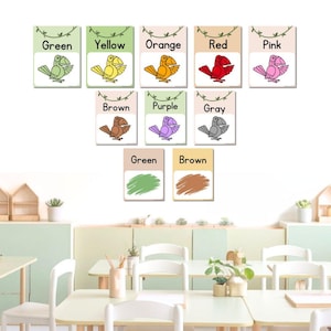 Poster a colori Jungle Safari per bacheche e decorazioni per aule, allestimento aule, poster per l'istruzione parentale per imparare i colori