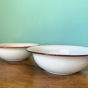 Vintage EGSA Ceramic Basins with Red and Blue Trim - Set of 2 - Midcentury Bathroom Decor