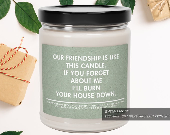 Best Friend Candle, Funny Candle for Best Friend Gift Basket, For Friendship Gift Box, Gift For Her, Our Friendship is Like This Candle