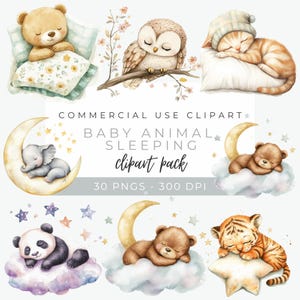 Sleeping Baby Animal Clipart, Cute Watercolor Animals for Nursery Wall Art, Woodland Baby Animal PNG, Nursery Decor Digital Download