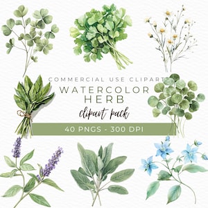 Aquarel kruid clipart, culinaire illustratie, botanische groen kunst, keukendecor, kruid printables, Instant Download