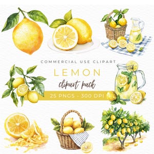 Zitrone Clipart, Aquarell PNG, Zitrusfrucht Illustration, Zitronenscheibe Kunst, Tropisches Dekor, Botanische Grafik, Sofort Download